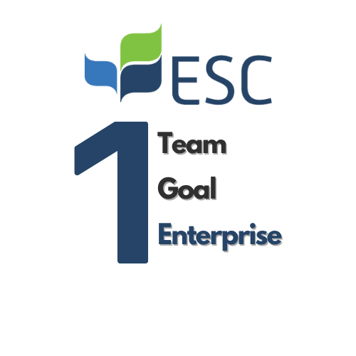 1-Team, 1-Goal, 1-Enterprise
